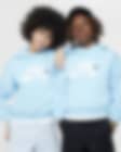 Low Resolution Φούτερ με κουκούλα σε φαρδιά γραμμή Nike SB Icon Fleece EasyOn για μεγάλα παιδιά