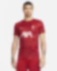 Low Resolution Liverpool FC Academy Pro-Nike Dri-FIT Pre-Match-fodboldtrøje til mænd