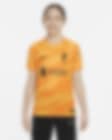 Low Resolution Liverpool FC 2023/24 Stadium Goalkeeper Big Kids' Nike Dri-FIT Short-Sleeve Soccer Jersey