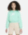 Low Resolution Sudadera con gorro cropped para niña talla grande Nike Sportswear Club Fleece