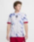 Low Resolution Norway (Men's Team) 2024/25 Stadium Away Men's Nike Dri-FIT Football Replica Shirt