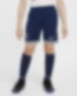 Low Resolution Replika fotbalových kraťasů Nike Dri-FIT Tottenham Hotspur Stadium 2024 pro větší děti, domácí