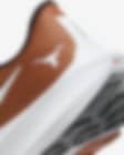 Calzado de running en carretera para hombre Nike Pegasus 40 (Texas).