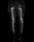 Nike Women's Skeleton Tights. Nike JP