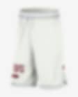 Low Resolution USC DNA 3.0 Men's Nike Dri-FIT College Shorts