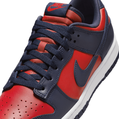 Nike Dunk Low Retro Men's Shoes