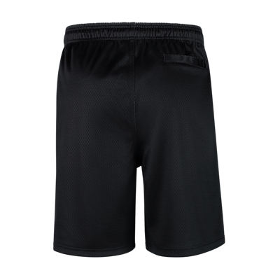 Nike "Steal Your Duck" Men's Mesh Shorts
