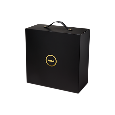 Tenis de básquetbol LeBron XXIII ALT