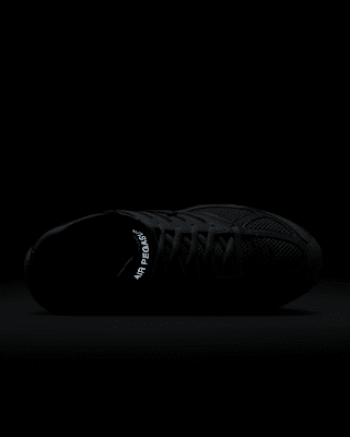 Nike Air Pegasus 2005