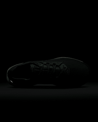 Nike Pegasus Trail 5 GORE-TEX