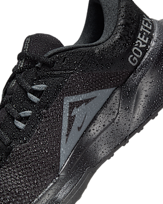 Nike Winflo 11 GORE-TEX