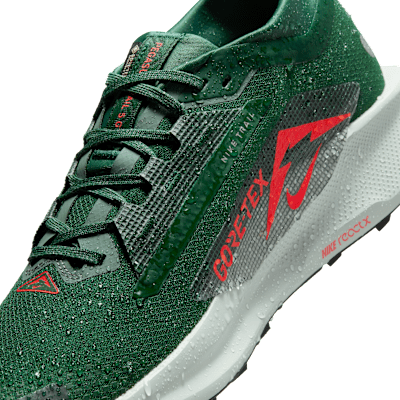 ナイキ ペガサス トレイル 5 GORE-TEX メンズ 防水 トレイル ランニングシューズ