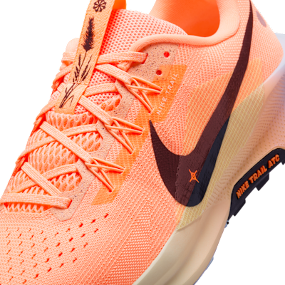 Scarpa da trail running Nike Pegasus Trail 5 – Uomo