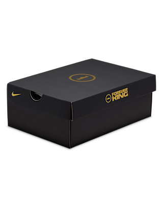 LeBron XXIII "From This Point Forward"