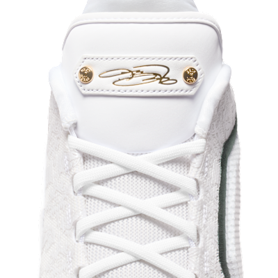 LeBron XXIII 'From This Point Forward' Basketball Shoes