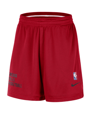 Мужские шорты Chicago Bulls Nike NBA Mesh Shorts