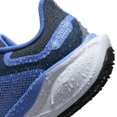 Nike Pegasus 41 GORE-TEX wasserdichter Straßenlaufschuh (Damen)