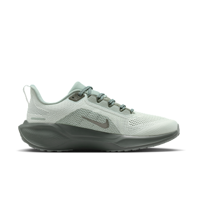 Nike Pegasus 41 女款路跑鞋