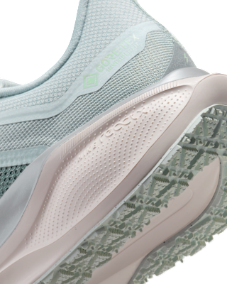 Nike Pegasus 41 GORE-TEX