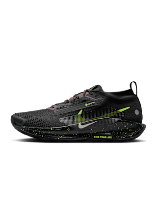 Мужские кроссовки Nike Pegasus Trail 5 GORE-TEX Waterproof Trail для бега
