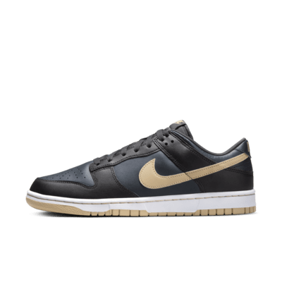 Nike Dunk Low Retro Men's Shoes