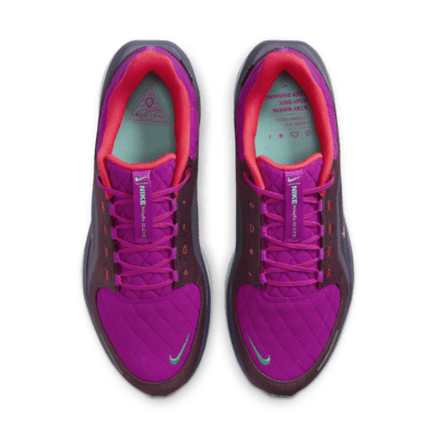 Scarpa impermeabile da running su strada Nike Winflo 11 GORE-TEX SE – Uomo