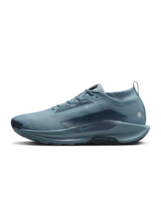 Мужские кроссовки Nike Pegasus Trail 5 GORE-TEX Waterproof Trail для бега