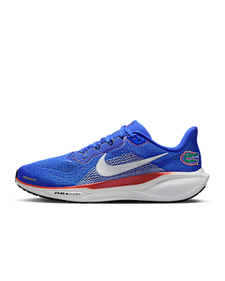 Unisex кроссовки Florida Pegasus 41 Nike College Road для бега