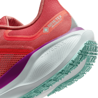 Scarpa impermeabile da running su strada Nike Pegasus 41 GORE-TEX – Uomo