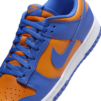 Nike Dunk Low Retro Men's Shoes