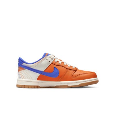 Calzado para niños grandes Nike Dunk Low SE