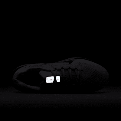 Nike Winflo 11 Erkek Yol Koşu Ayakkabısı