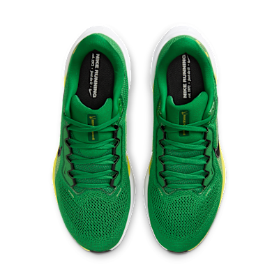 Oregon Pegasus 41 Men's Nike College Road Running Shoes