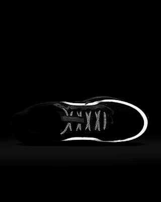 Nike Pegasus Premium