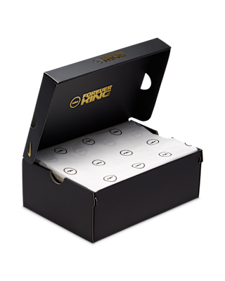 LeBron XXIII "From This Point Forward"