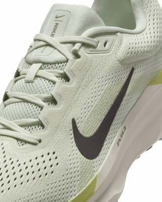Nike Winflo 11