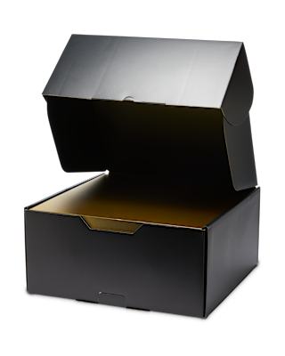 LeBron XXIII "The Chosen One" EP