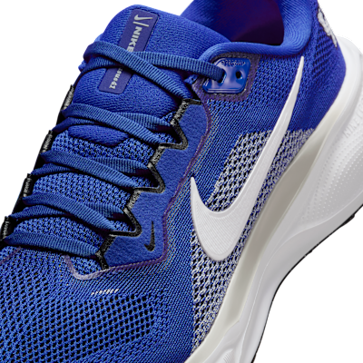Kentucky Pegasus 41 Men's Nike College Road Running Shoes