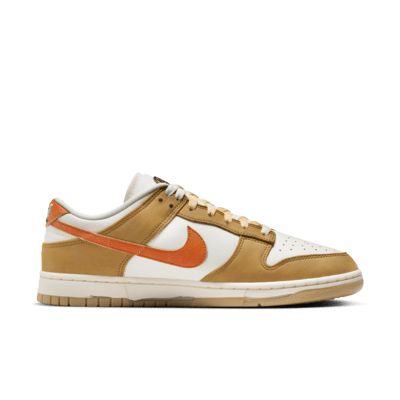 Nike Dunk Low Retro Shoes