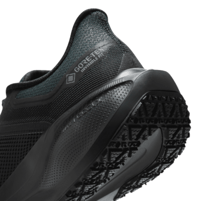 Scarpa impermeabile da running su strada Nike Pegasus 41 GORE-TEX – Uomo