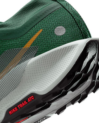 Nike Pegasus Trail 5 GORE-TEX