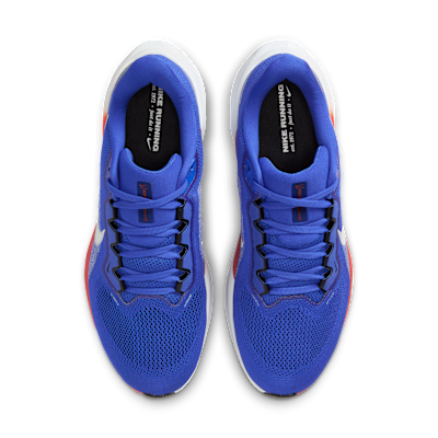 Florida Pegasus 41 Men's Nike College Road Running Shoes