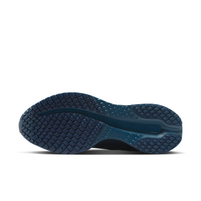 Nike Pegasus Premium Women's Road Running Shoes