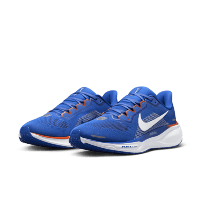 Tenis de correr en pavimento universitarios Nike para hombre Florida Pegasus 41