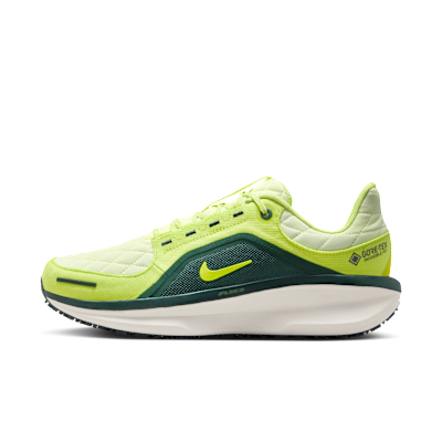 Nike Winflo 11 GORE-TEX