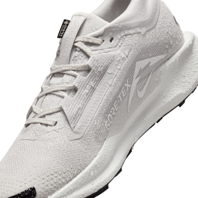 Chaussure de trail imperméable Nike Pegasus Trail 5 GORE-TEX pour homme
