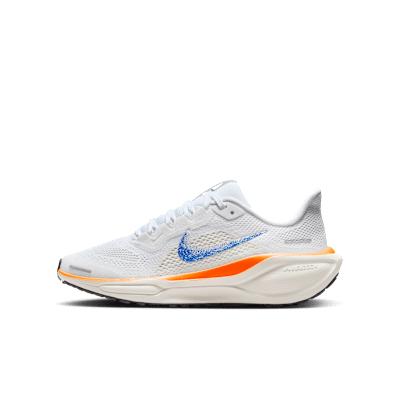 Nike Pegasus 41 Blueprint