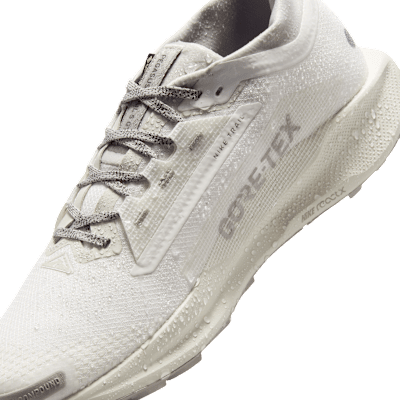 Nike Pegasus Trail 5 GORE-TEX SP Men's Waterproof Trail-Running Shoes