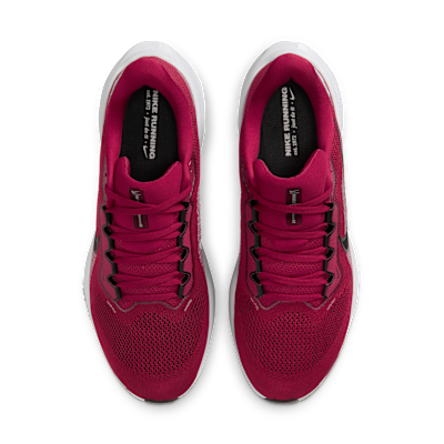 Arkansas Pegasus 41 Men's Nike College Road Running Shoes