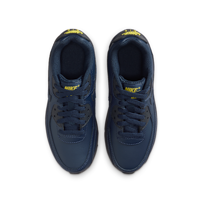 Nike Air Max 90 LTR sko til store barn